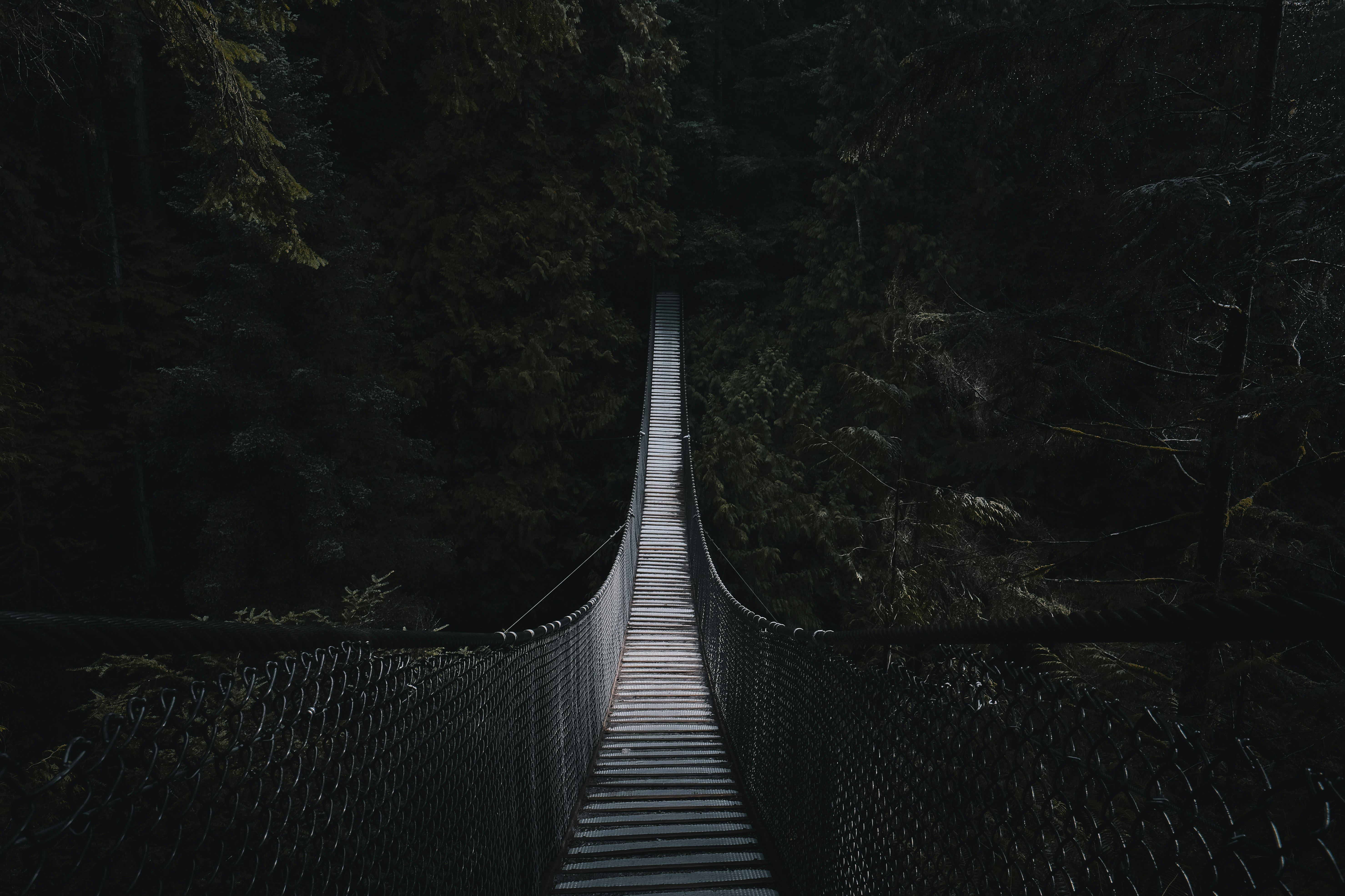 shallow focus photo of brown wooden bridge